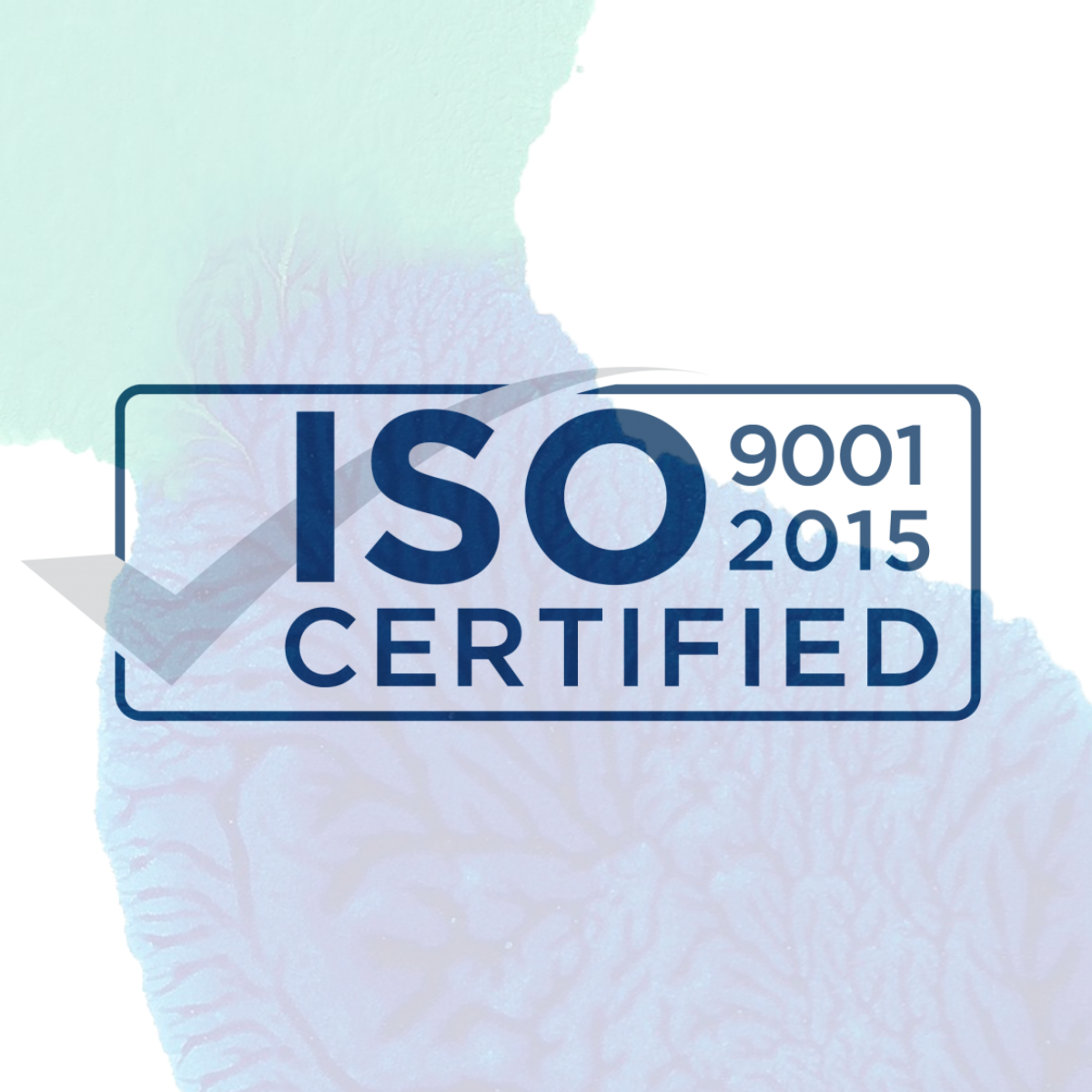 ISO certification Absolem